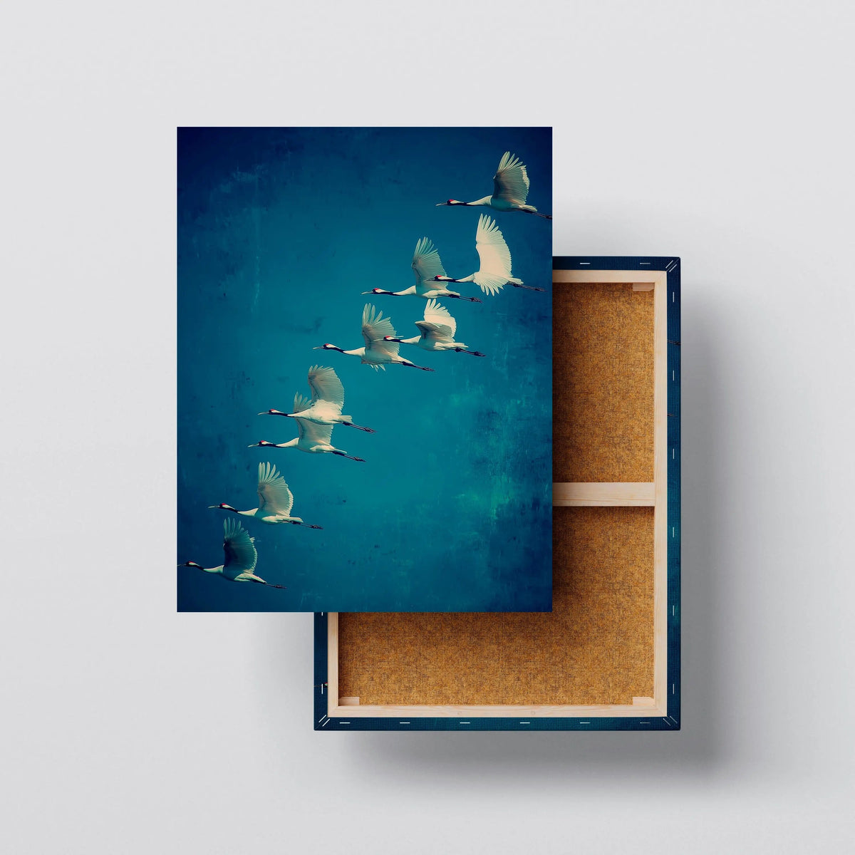 Flying Cranes canvas print, front view with gallery-wrapped edge