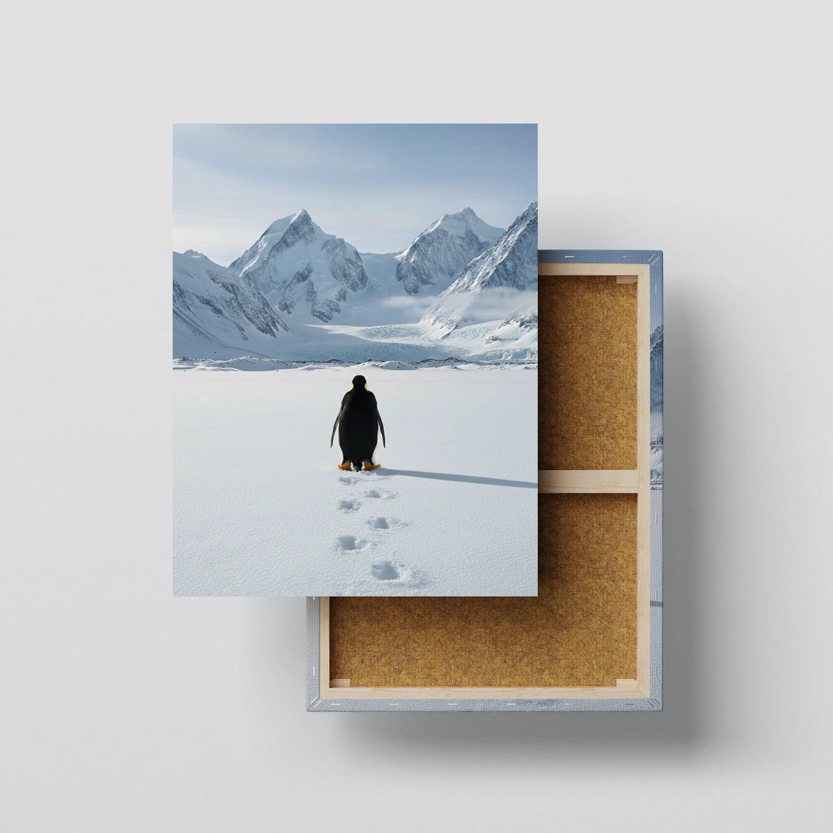 Lone Penguin canvas print, front view with gallery-wrapped edge